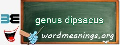 WordMeaning blackboard for genus dipsacus